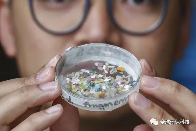 關于“微塑料”的危害，你了解多少？
